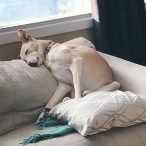 Meet your Posher, Katrina